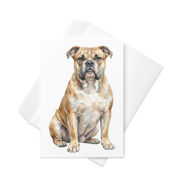 Vikt kort med continental bulldog