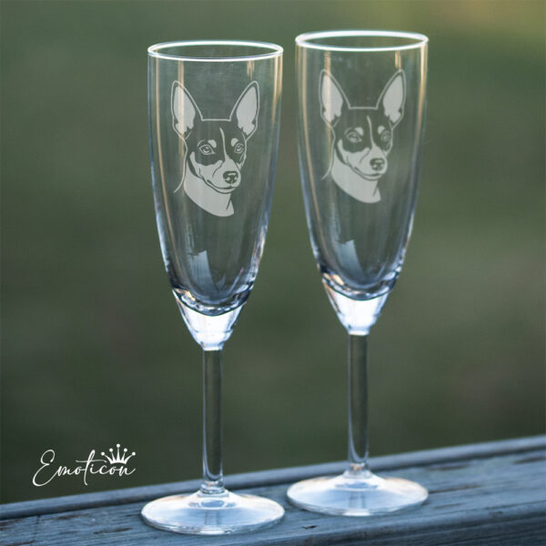 Champagneglas american toy fox terrier