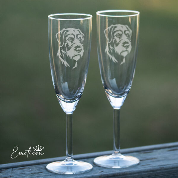 Champagneglas bosanski ostrodlaki gonic-barak