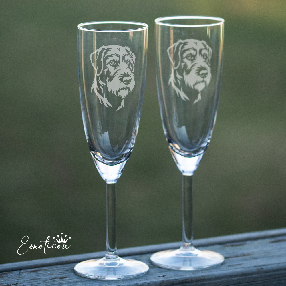 Champagneglas bosanski ostrodlaki gonic-barak