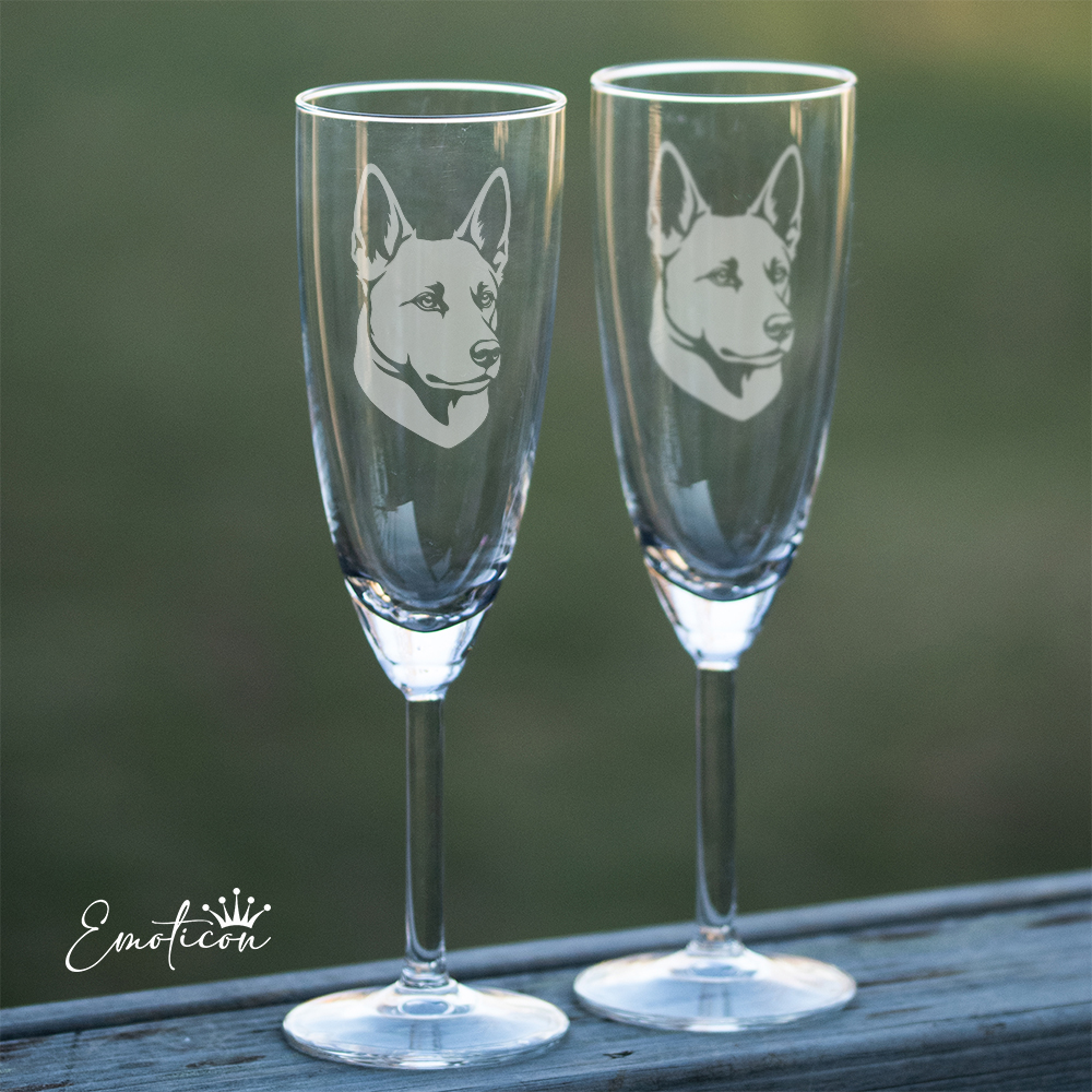 Champagneglas canaan dog