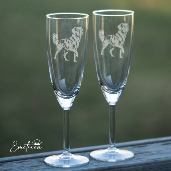 Champagneglas nova scotia duck tolling retriever