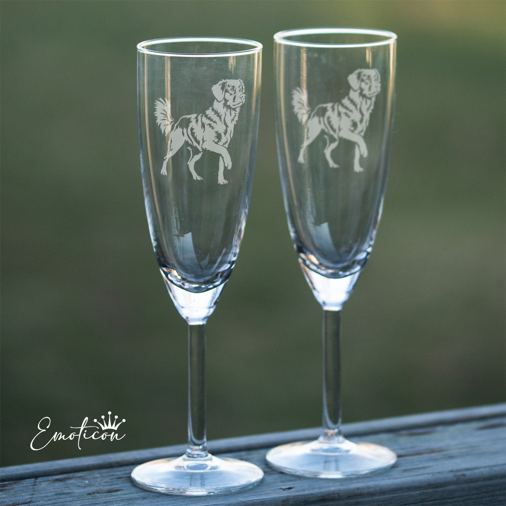 Champagneglas nova scotia duck tolling retriever