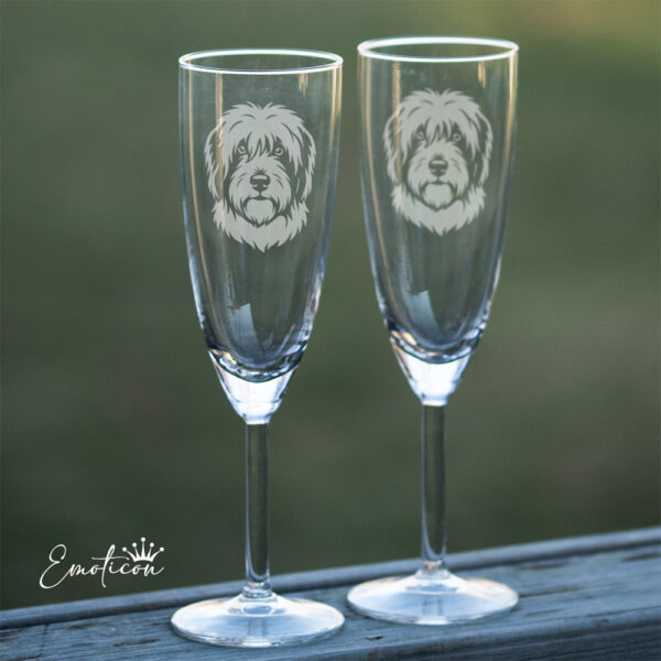 Champagneglas polski owczarek nizinny