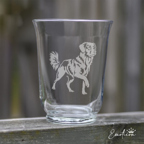 Vas/ljuslykta nova scotia duck tolling retriever