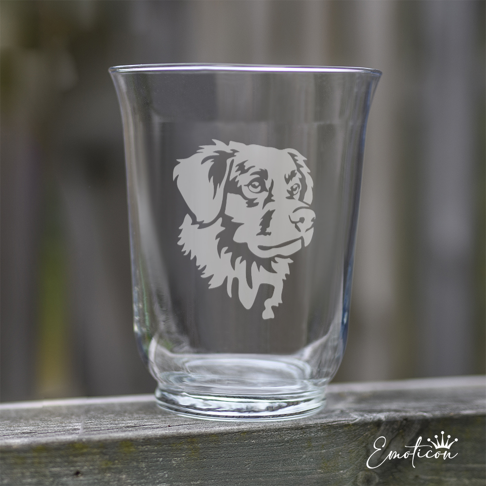 Vas/ljuslykta nova scotia duck tolling retriever