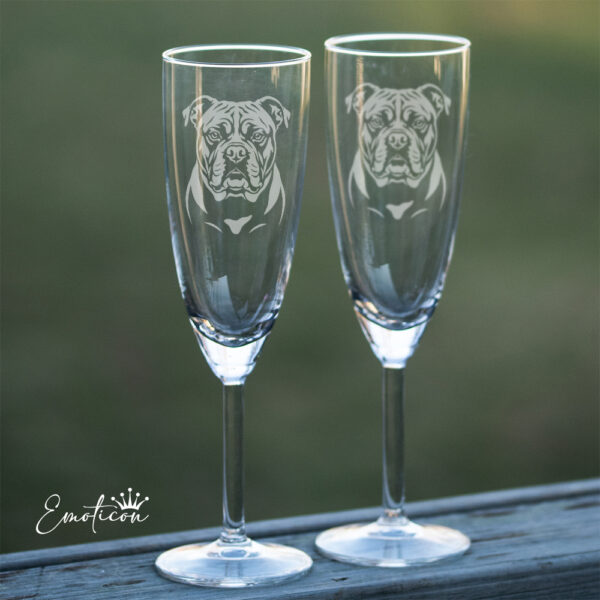 Champagneglas amerikansk bulldogg
