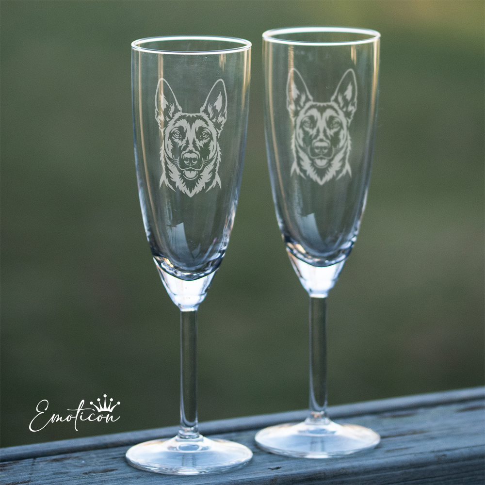Champagneglas belgisk vallhund malinois