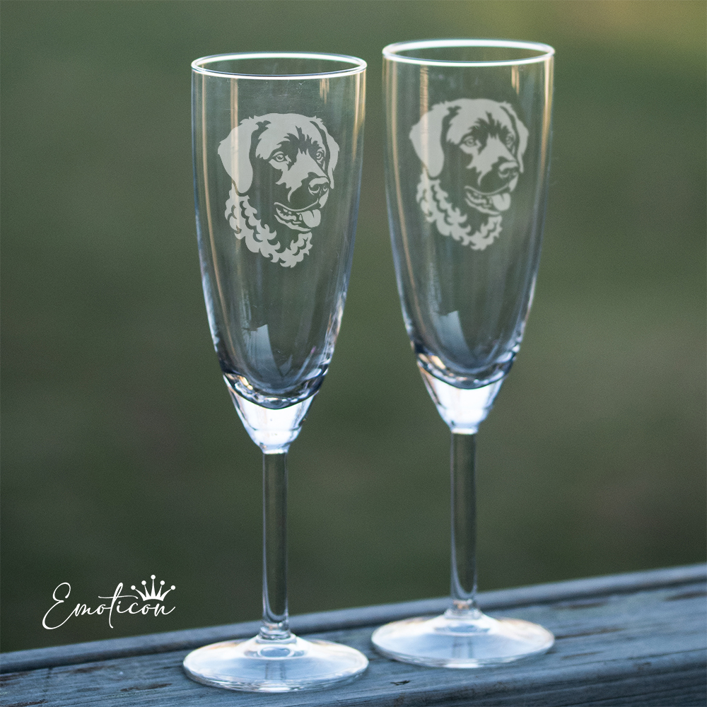 Champagneglas wetterhoun