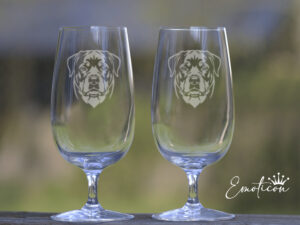 Beer glasses