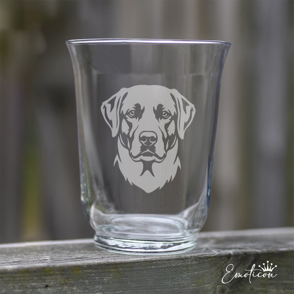 Vas/ljuslykta labrador retriever