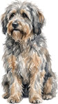 Bergamasco WC0052