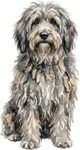 Bergamasco WC0054