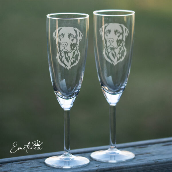 Champagneglas chesapeake bay retriever