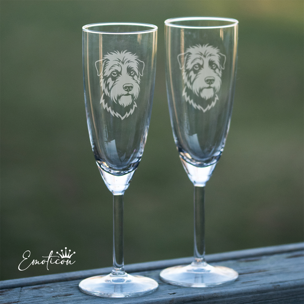 Champagneglas irish glen of imaal terrier