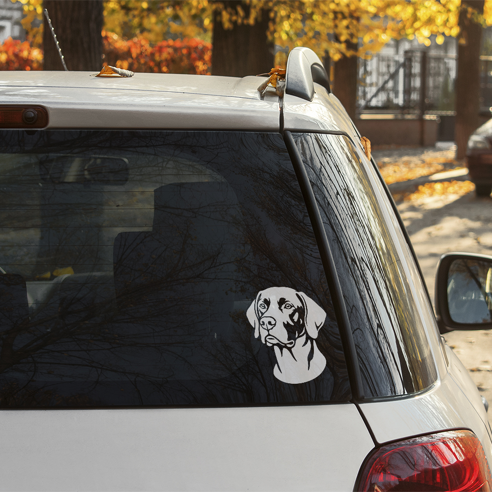 Dekal gammeldansk hönsehund