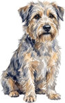 Glen of Imaal Terrier WC0542