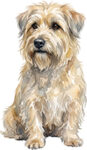 Glen of Imaal Terrier WC0736