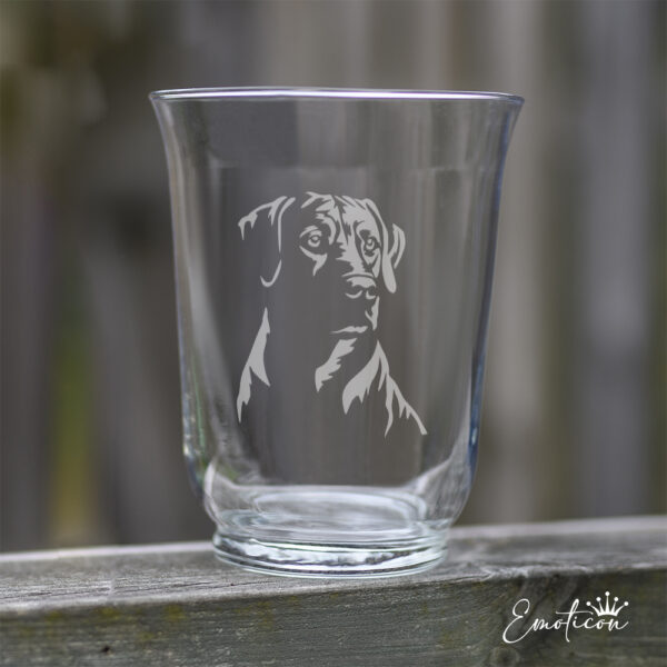 Vas/ljuslykta rhodesian ridgeback