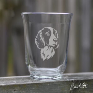 Vas/ljuslykta welsh springer spaniel
