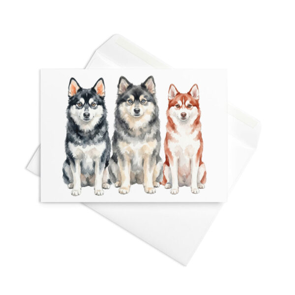 Vikt kort med alaskan klee kai