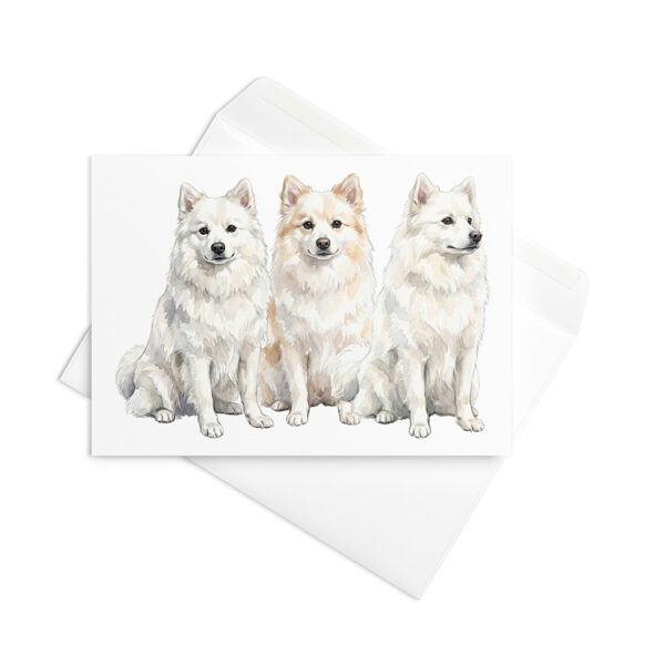 Vikt kort med american eskimo dog