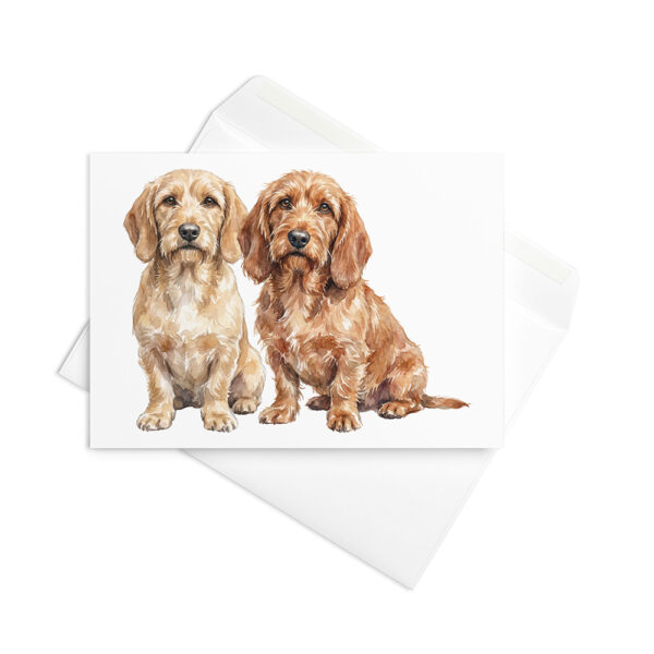Vikt kort med basset fauve de bretagne