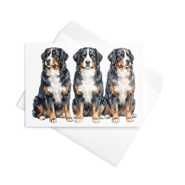 Vikt kort med berner sennenhund