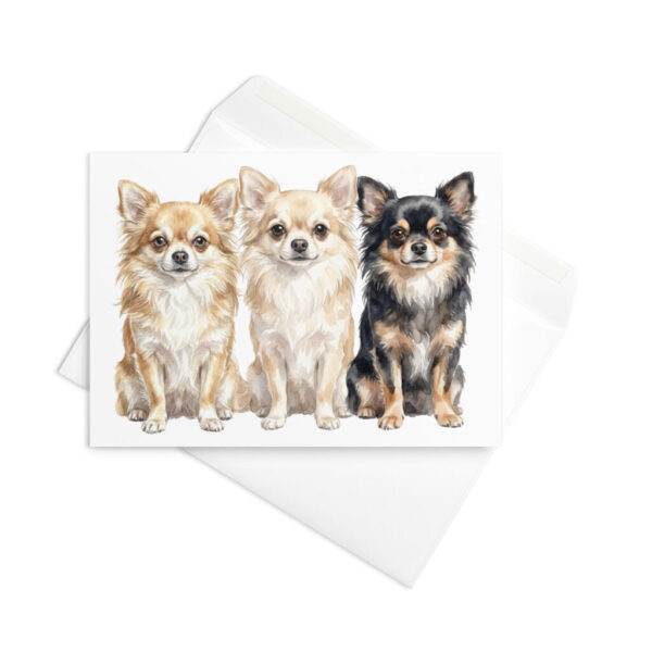 Vikt kort med chihuahua, långhårig