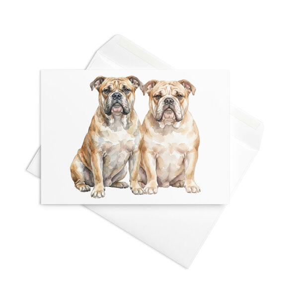 Vikt kort med continental bulldog