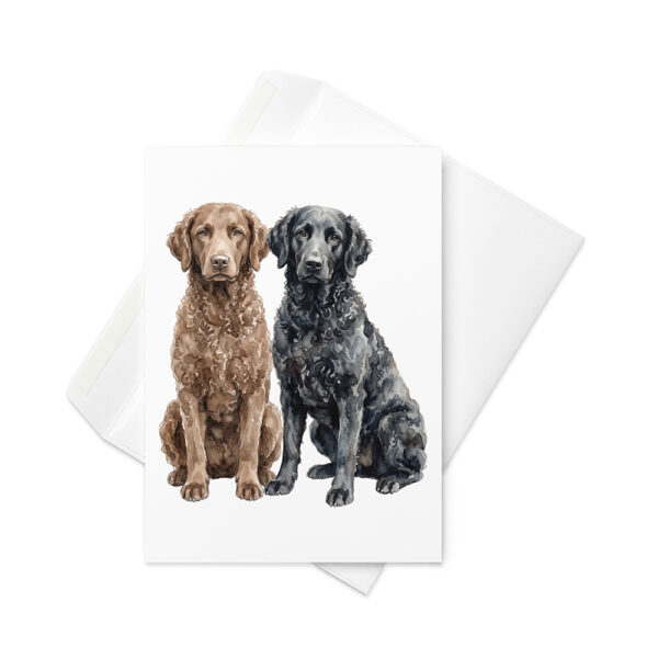 Vikt kort med curly coated retriever