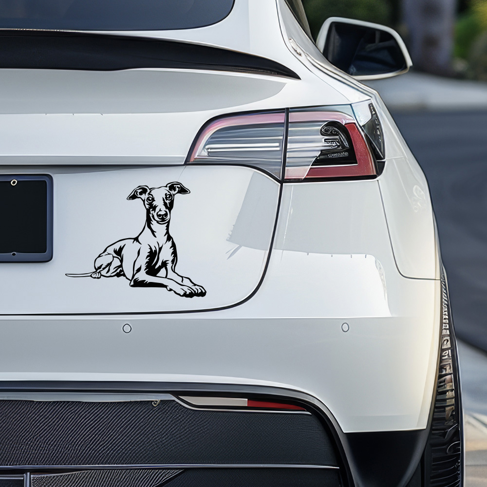 Dekal whippet