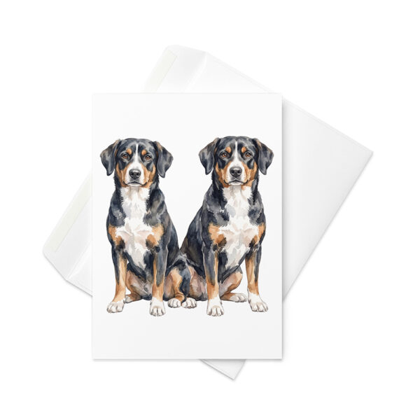 Vikt kort med entlebucher sennenhund