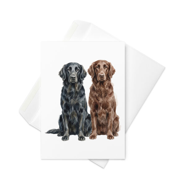 Vikt kort med flatcoated retriever
