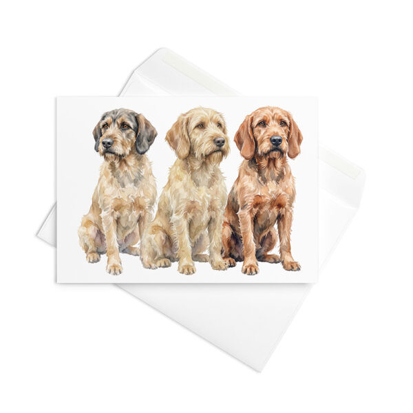 Vikt kort med griffon fauve de bretagne